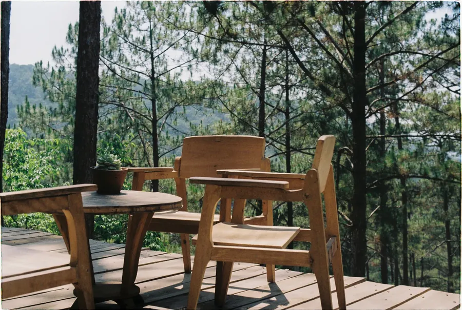 Timber deck and furniture beside trees. Representative stock photography.