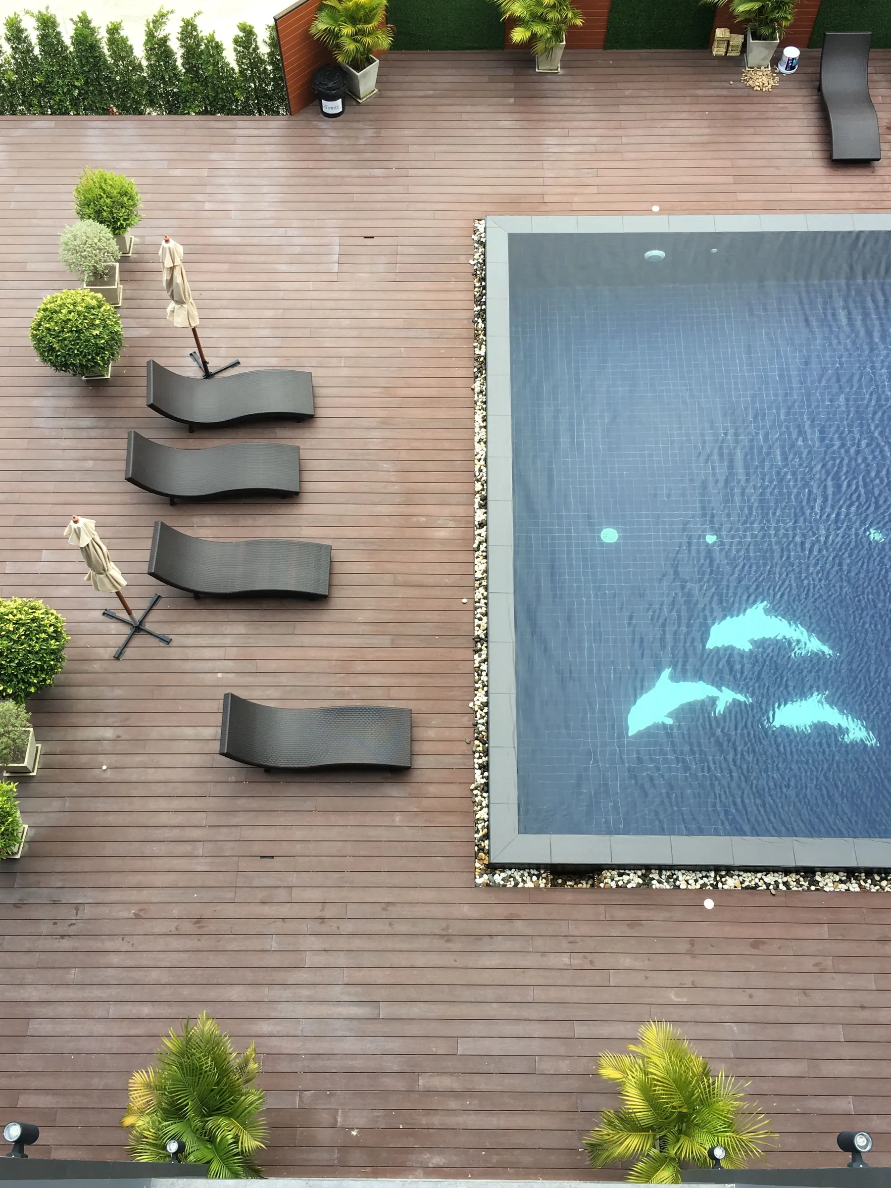 Slippery Timber Decks